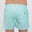 SWIM SHORTS STRIPE in color GREEN - Detail shot