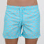 SWIM SHORTS PIGS in color SKY BLUE - Front shot