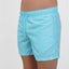 SWIM SHORTS PIGS in color SKY BLUE - Back shot